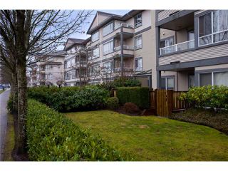 Photo 10: # 201 4990 MCGEER ST in Vancouver: Collingwood VE Condo for sale (Vancouver East)  : MLS®# V827027