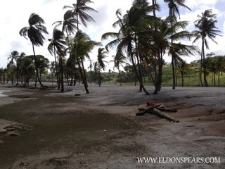 Photo 17: Bala Beach Resort, Colon, Panama