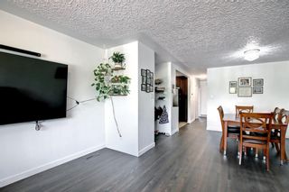 Photo 10: 3210 14 Street NW in Calgary: Rosemont Semi Detached for sale : MLS®# A1227625