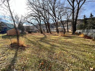 Photo 4: 424 River Drive: Drumheller Residential Land for sale : MLS®# A2008866