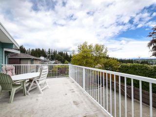 Photo 44: 331 McCarthy St in CAMPBELL RIVER: CR Campbell River Central House for sale (Campbell River)  : MLS®# 838929