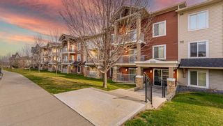 Main Photo: 1103 70 Panamount Drive NW in Calgary: Panorama Hills Apartment for sale : MLS®# A2126743
