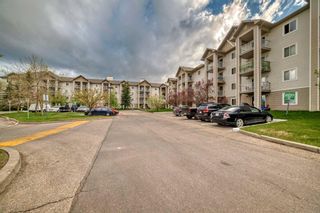 Photo 43: 209 1717 60 Street SE in Calgary: Red Carpet Apartment for sale : MLS®# A2133379
