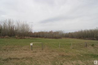 Photo 4: W4 11-62 15 Road SE: Rural St. Paul County Rural Land/Vacant Lot for sale : MLS®# E4294498