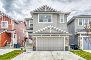 Main Photo: 67 Red Embers Terrace NE in Calgary: Redstone Detached for sale : MLS®# A1242099