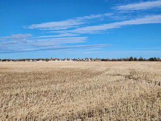 Photo 3: 6002 57 Avenue: Olds Residential Land for sale : MLS®# A2088833