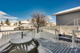 Photo 15: 100 Martinwood Road NE in Calgary: Martindale Detached for sale : MLS®# A1071596