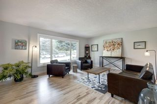 Photo 7: 208 Parkvalley Drive SE in Calgary: Parkland Detached for sale : MLS®# A2003593