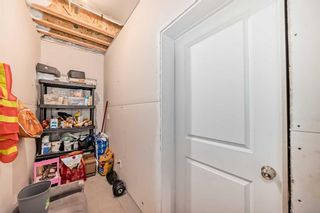Photo 33: 93 Red Sky Road NE in Calgary: Redstone Detached for sale : MLS®# A2123684