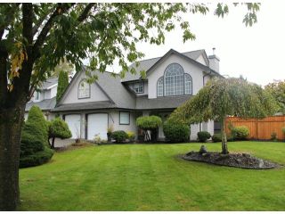 Photo 1: 22386 OLD YALE Road in Langley: Murrayville House for sale in "Murrayville" : MLS®# F1425665
