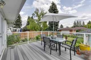 Photo 17: 5320 Buckthorn Road NW in Calgary: Thorncliffe Detached for sale : MLS®# A2143129