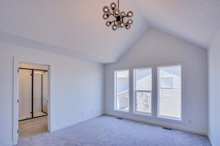 Photo 42: 14 Copperhead Way SE in Calgary: Copperfield Detached for sale : MLS®# A1242198