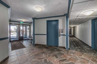 Photo 26: 513 8948 Elbow Drive SW in Calgary: Haysboro Apartment for sale : MLS®# A2106950