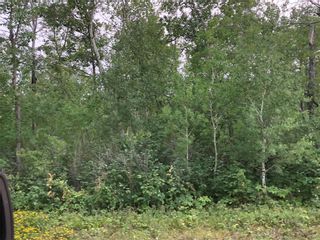 Photo 2: 10 Northwinds Road in Alonsa: Lake Manitoba Narrows Residential for sale (R19)  : MLS®# 202119780