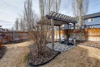 Photo 43: 39 Silverado Skies Manor SW in Calgary: Silverado Detached for sale : MLS®# A2122875