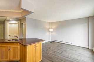 Photo 7: 103 117 38 Avenue SW in Calgary: Parkhill Apartment for sale : MLS®# A2000812