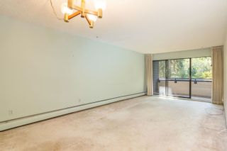 Photo 3: 204 1710 W 13TH Avenue in Vancouver: Fairview VW Condo for sale in "PINE RIDGE" (Vancouver West)  : MLS®# R2725281