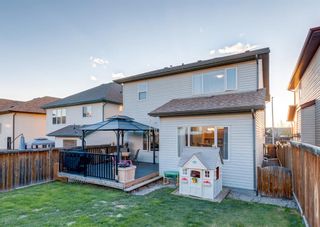 Photo 44: 248 EVANSBROOKE Way NW in Calgary: Evanston Detached for sale : MLS®# A1221592
