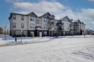 Photo 26: 111 37 Prestwick Drive SE in Calgary: McKenzie Towne Apartment for sale : MLS®# A2030274