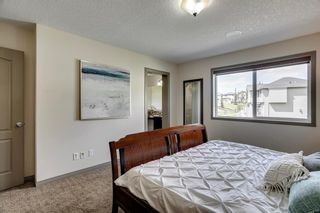 Photo 44: 40 Panatella Gate NW in Calgary: Panorama Hills Detached for sale : MLS®# A2050448