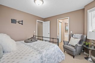 Photo 29: 258 Canals Circle SW: Airdrie Detached for sale : MLS®# A2074536