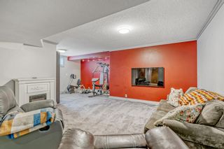Photo 29: 333 Bridlewood Avenue SW in Calgary: Bridlewood Detached for sale : MLS®# A1244530