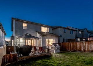 Photo 40: 248 EVANSBROOKE Way NW in Calgary: Evanston Detached for sale : MLS®# A1221592