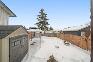 Photo 25: 7 Whitmire Road NE in Calgary: Whitehorn Detached for sale : MLS®# A2117955
