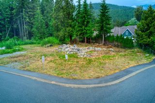 Photo 3: 3132 CHESTNUT Court: Anmore Land for sale in "BELLA TERRA" (Port Moody)  : MLS®# R2870555