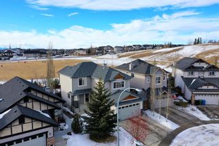 Photo 44: 41 Royal Birch Way NW in Calgary: Royal Oak Detached for sale : MLS®# A1173707