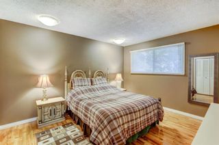 Photo 11: 3363 Breton Close NW in Calgary: Brentwood Detached for sale : MLS®# A1200985