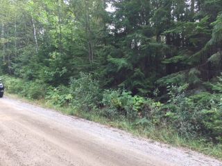 Photo 3: Lot 9 Mountain Drive in Anglemont: North Shuswap Land Only for sale (Shuswap)  : MLS®# 10158352