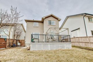 Photo 33: 68 Country Hills Park NW in Calgary: Country Hills Detached for sale : MLS®# A2043691