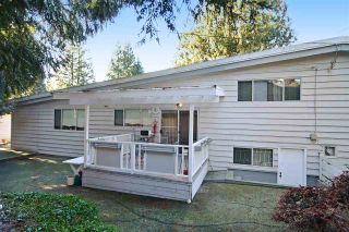 Photo 19: 3630 DELBROOK Avenue in North Vancouver: Delbrook House for sale : MLS®# R2135003