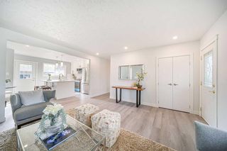 Photo 13: 2622 46 Street SE in Calgary: Forest Lawn Detached for sale : MLS®# A2077960