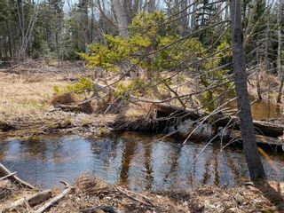 Photo 13: Lot 22 Lakeside Drive in Little Harbour: 108-Rural Pictou County Vacant Land for sale (Northern Region)  : MLS®# 202304936