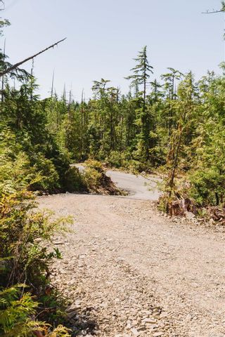 Photo 7: LOT A Hawkes Rd in Ucluelet: PA Ucluelet Land for sale (Port Alberni)  : MLS®# 911701