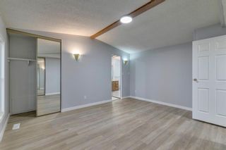 Photo 15: 323 Erin Woods Green SE in Calgary: Erin Woods Detached for sale : MLS®# A1219401