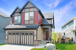 Photo 24: 17 MASTERS Common SE in Calgary: Mahogany Detached for sale : MLS®# C4255952