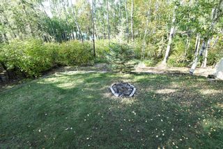 Photo 40: 6 Star Lake Block 5 Lot 6 Road in Whiteshell Provincial Pk: House for sale : MLS®# 202322157