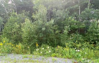 Photo 1: Lot Monk Road in Baker Settlement: 405-Lunenburg County Vacant Land for sale (South Shore)  : MLS®# 202219086