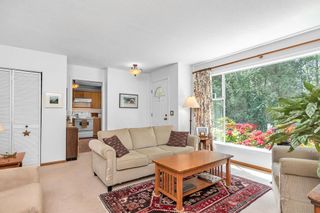 Photo 5: 24003 FERN CRESCENT in Maple Ridge: Silver Valley House for sale : MLS®# R2580820