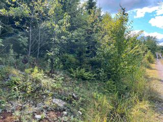 Photo 4: Lot 2 MacLean Road in Hunters Mountain: 209-Victoria County / Baddeck Vacant Land for sale (Cape Breton)  : MLS®# 202317840