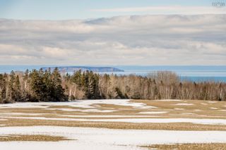 Photo 3: Lot McNally Road in Burlington: Kings County Vacant Land for sale (Annapolis Valley)  : MLS®# 202302855