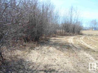 Photo 14: 12 Ivan Road 587104 Hwy 38: Rural Sturgeon County Rural Land/Vacant Lot for sale : MLS®# E4239338