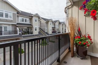 Photo 36: 34 2925 KING GEORGE Boulevard in Surrey: Elgin Chantrell Townhouse for sale (South Surrey White Rock)  : MLS®# R2705273