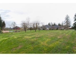 Photo 19: 5553 256 Street in Langley: Salmon River House for sale in "SALMON RIVER" : MLS®# R2047979