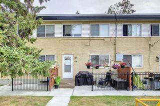 Photo 46: 305 2211 19 Street NE in Calgary: Vista Heights Row/Townhouse for sale : MLS®# A1245740