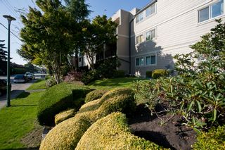 Photo 1: 302 1103 HOWIE Avenue in Coquitlam: Central Coquitlam Condo for sale in "THE WILLOWS" : MLS®# V916675
