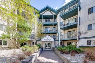 Main Photo: 402 11 Dover Point SE in Calgary: Dover Apartment for sale : MLS®# A2047647